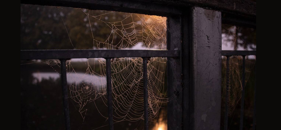 femmes dans la science